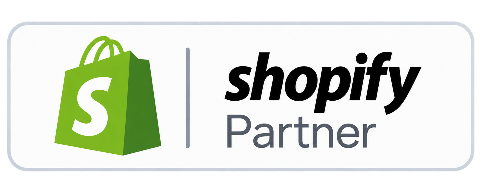 Shopify Partner