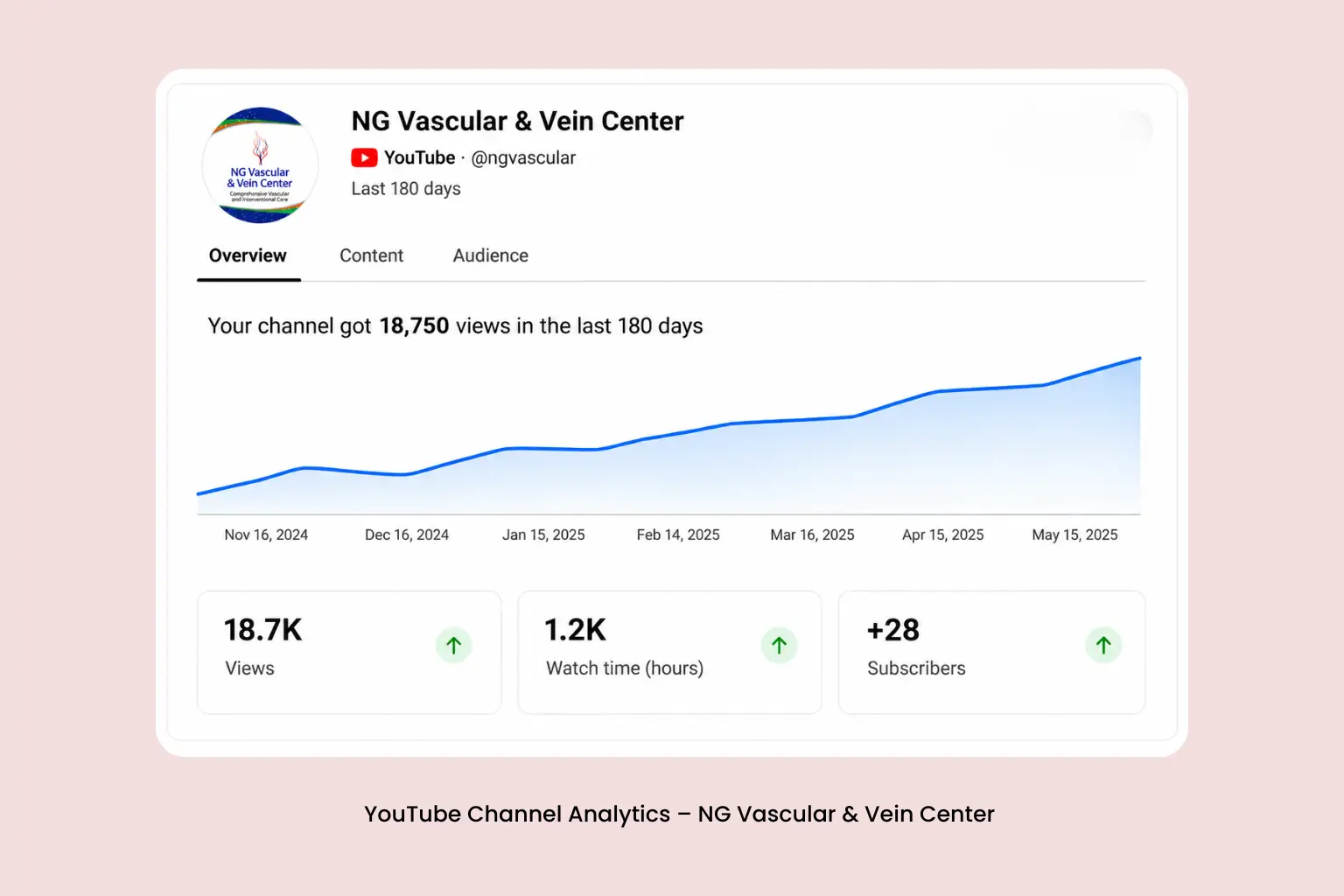 Reported YouTube channel growth for a vascular health clinic