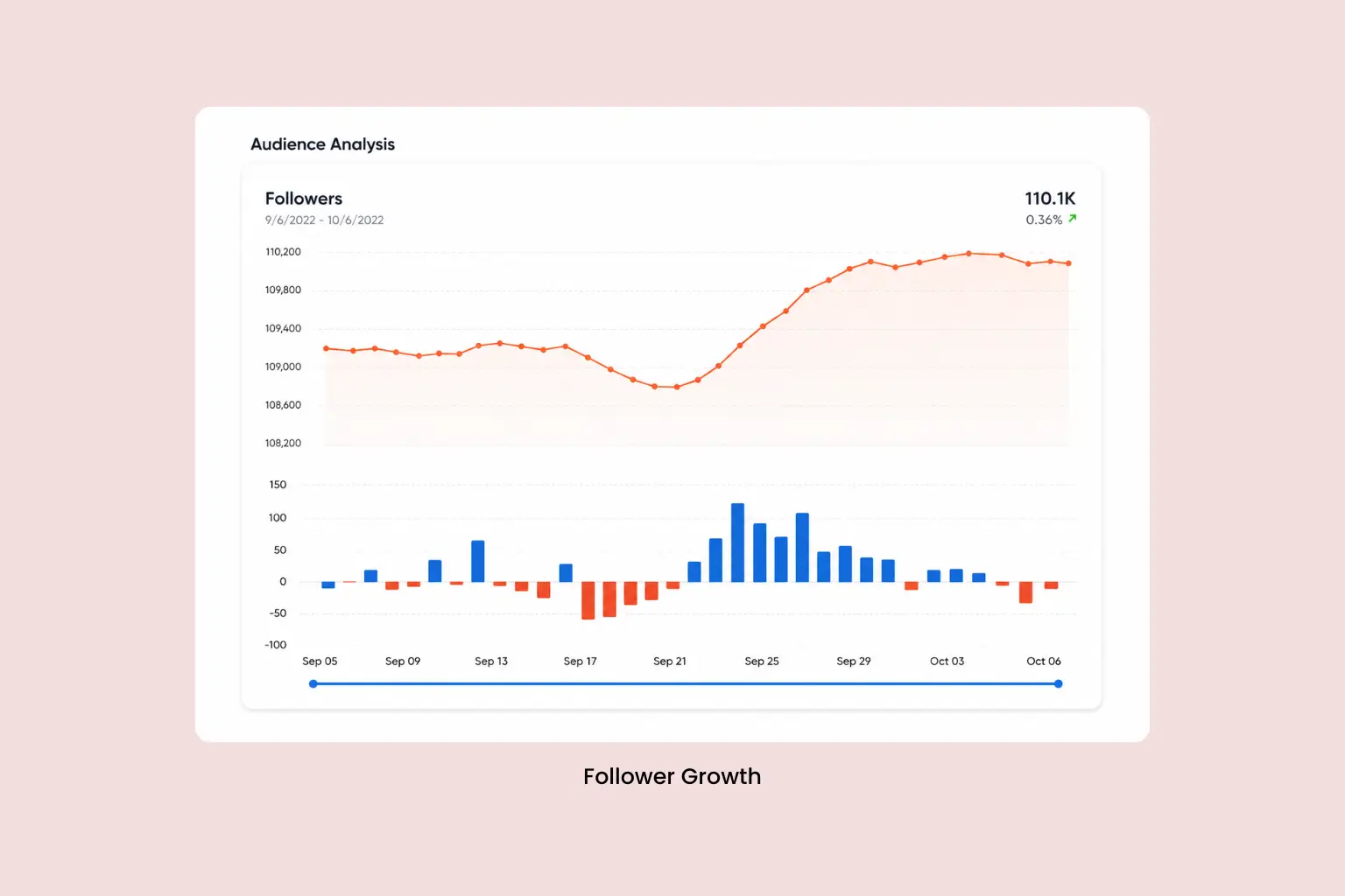 Tracked follower growth and daily fluctuations over a month